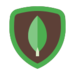 competence développeur mongodb logo